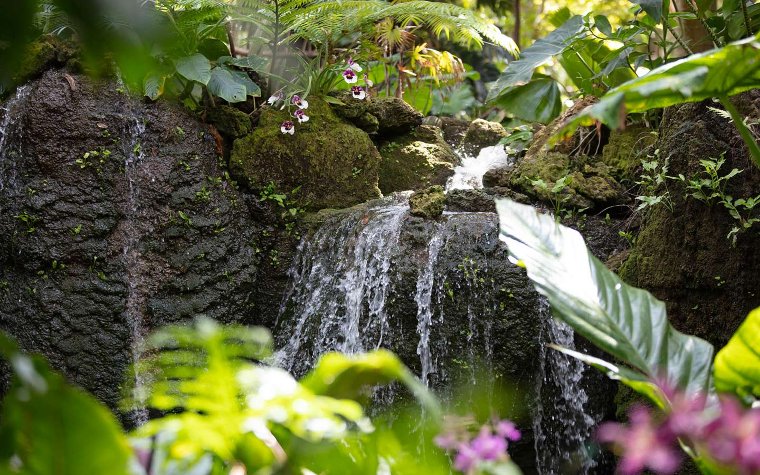 Waterfall at Fairchild Tropical Botanic Garden Waterfall at Fairchild Tropical Botanic Garden