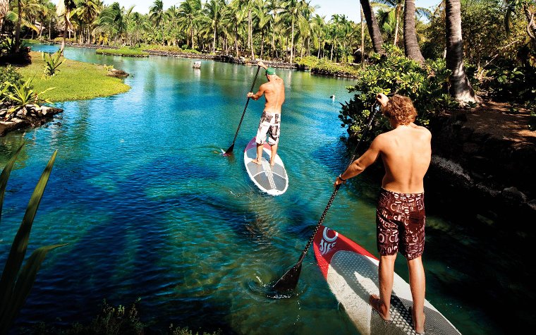 Stand-up paddleboarding at Matheson Hammock Park Stand-up paddleboarding at Matheson Hammock Park