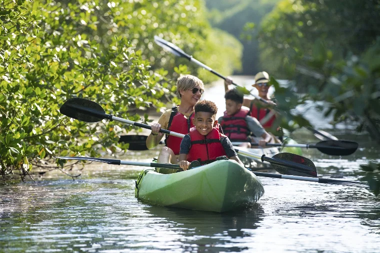 Family Kayaking through Mangroves Family Kayking through Mangroves