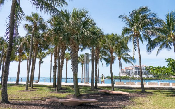 Palm trees lining South Beach's Beach Walk