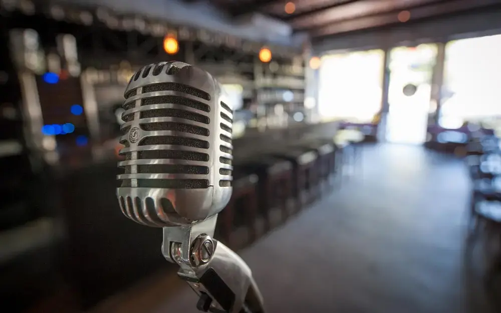 Vintage microphone