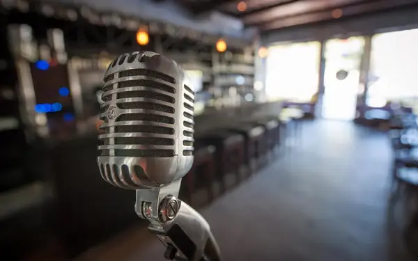 Vintage microphone