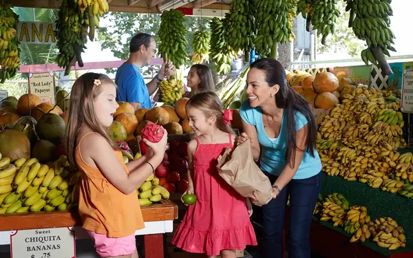 A family enjoys exploring local fruits at Robert is Here