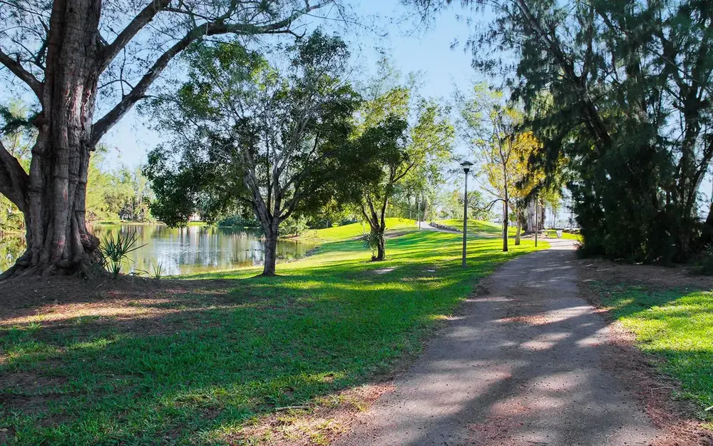 Path with trees and a lake