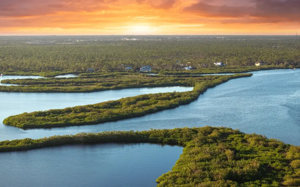 Everglades at sunset