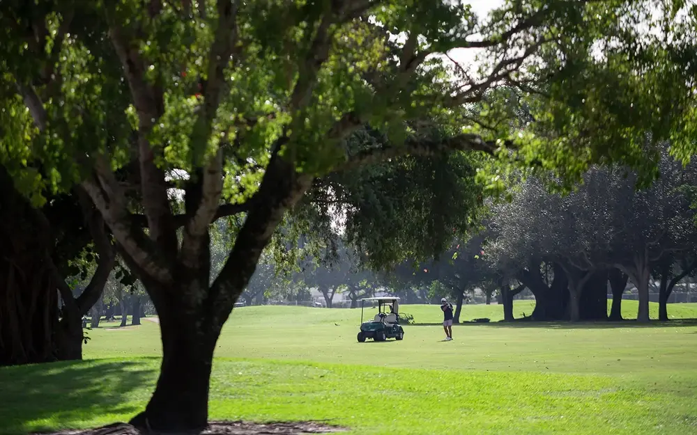 Greynolds Park golf course
