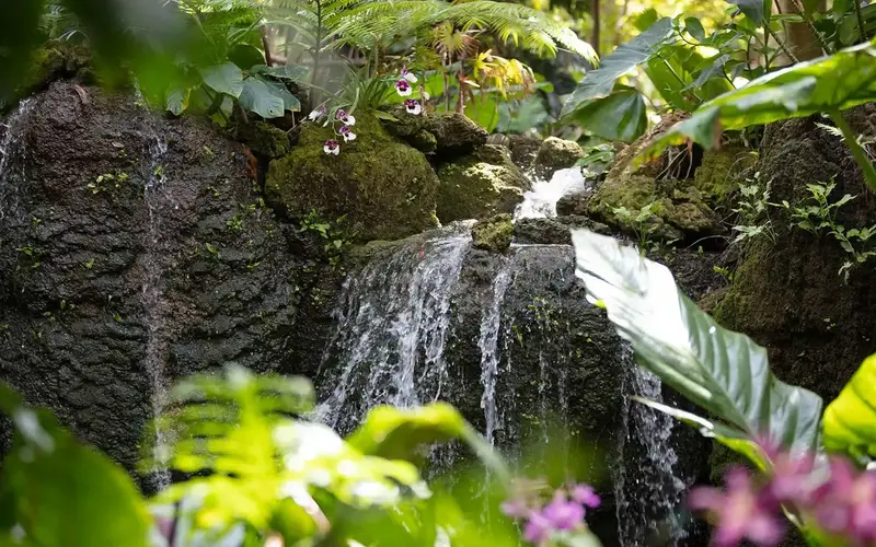 Fairchild Tropical Botanic Garden