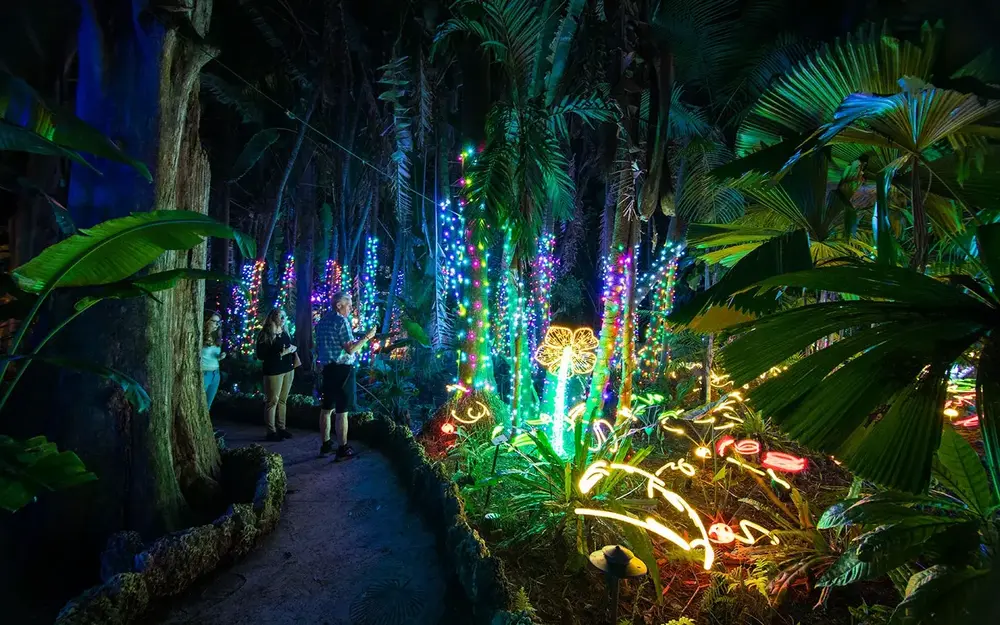 Night of Lights at Pinecrest Gardens