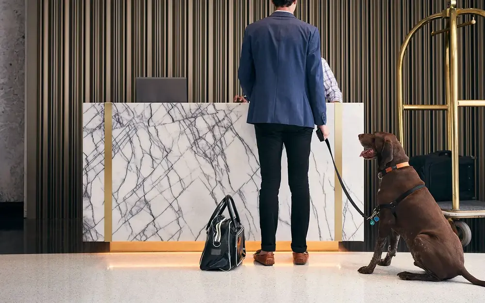 Dog and owner checking into the Loews