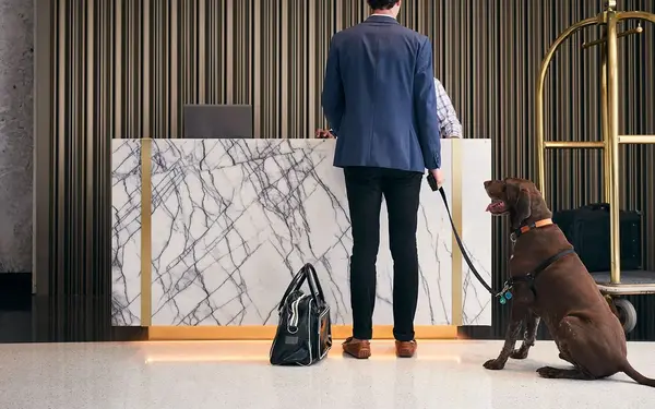 Dog and owner checking into the Loews