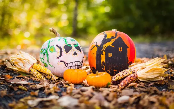 Painted pumpkins and colorful corn cobs