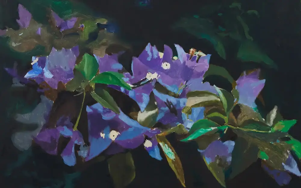 Bougainvillea , 2023 oil on canvas