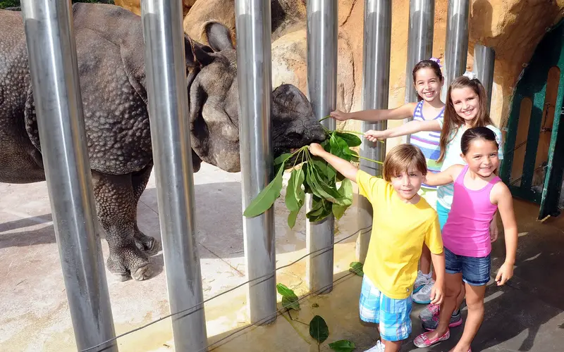 Children feeding a rhinoceros at Zoo Miami