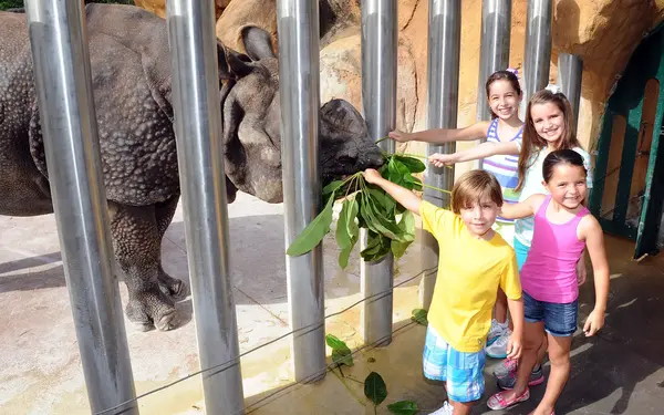 Children feeding a rhinoceros at Zoo Miami