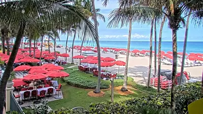 A live view of Sunny Isles Beach