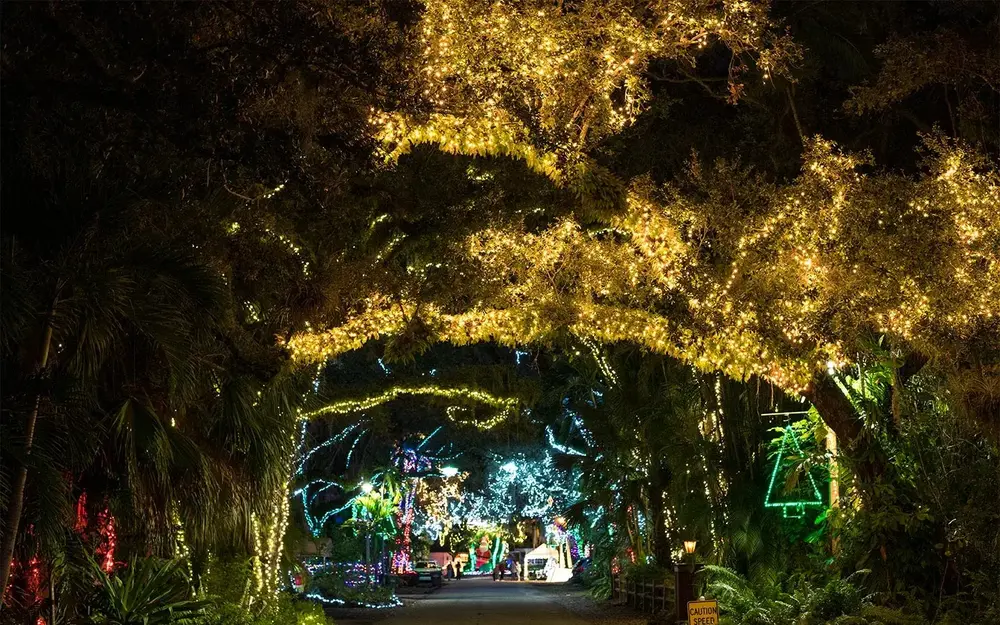 Tree arch entrance at Enchanted Place of North Miami