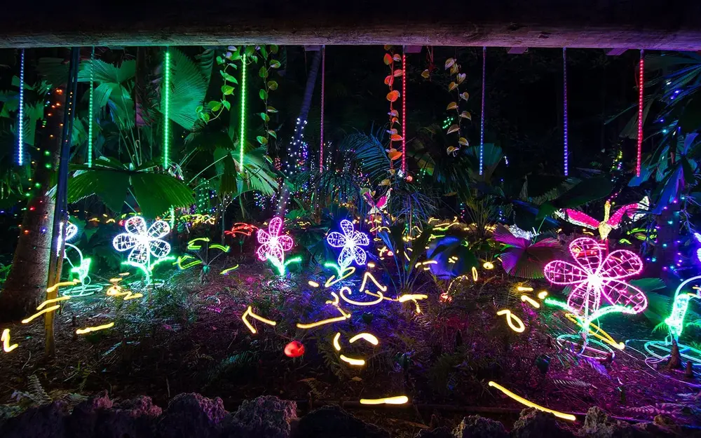 Flowers at Night of Lights at Pinecrest Gardens