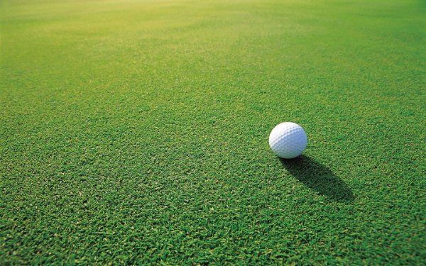 Мяч для гольфа на зеленом