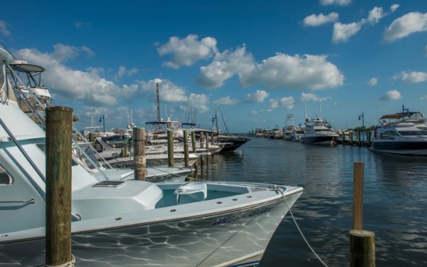 Fishing boats docked at the marina