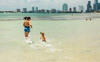 Woman and Dog in the Beach with Rickenbacker Behind