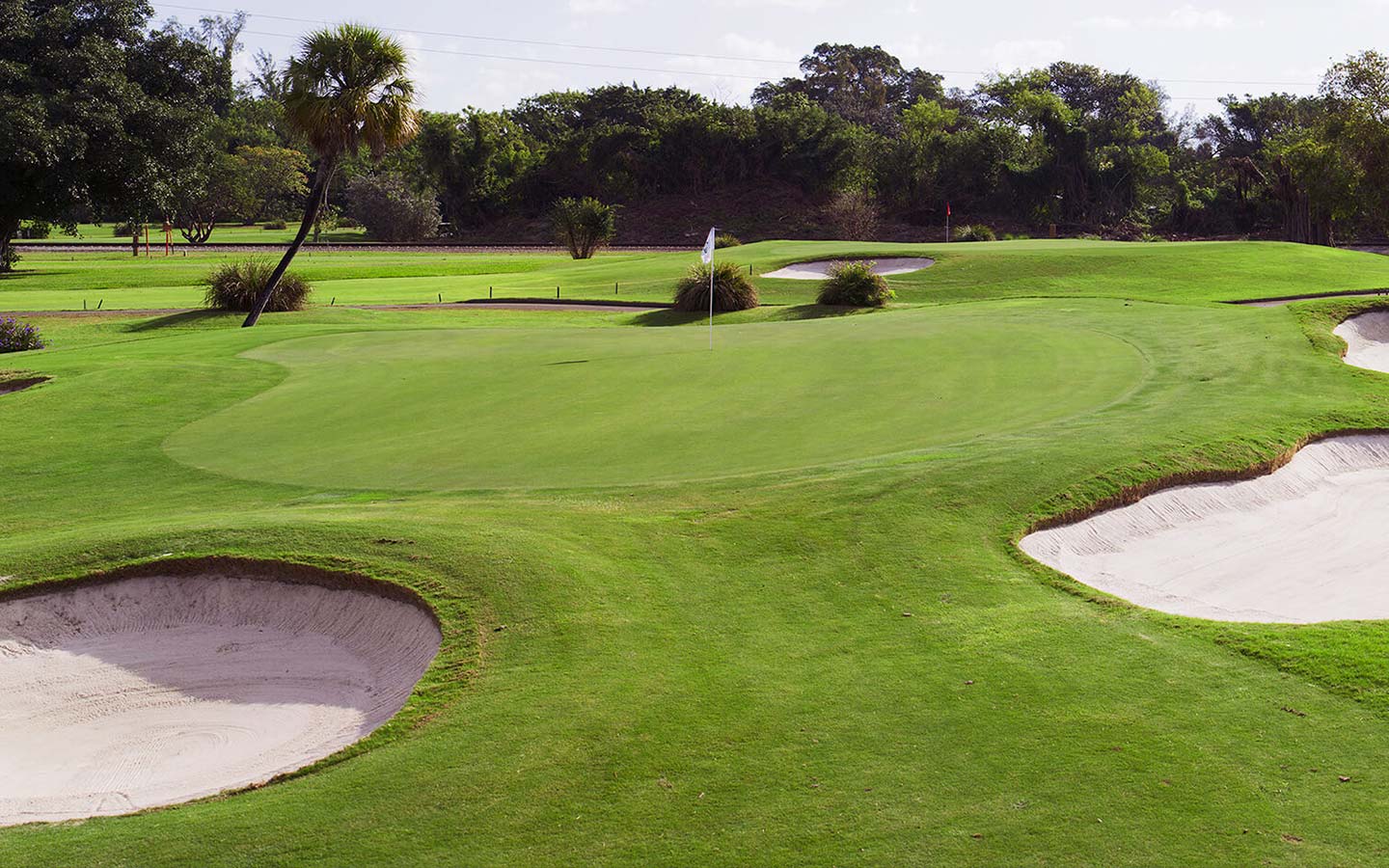 Golf course at Miami Shores Country Club