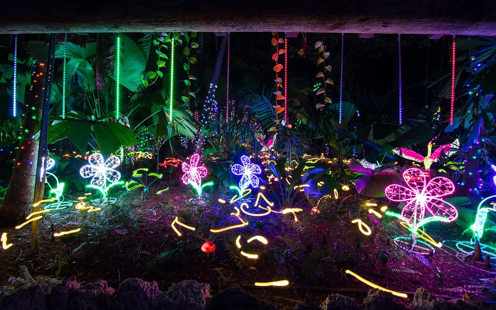 Flores na Noite das Luzes às Pinecrest Gardens