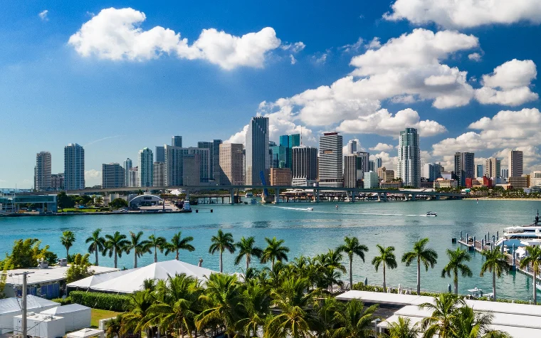 Downtown Miami with palm trees in foreground Downtown Miami with palm trees in foreground