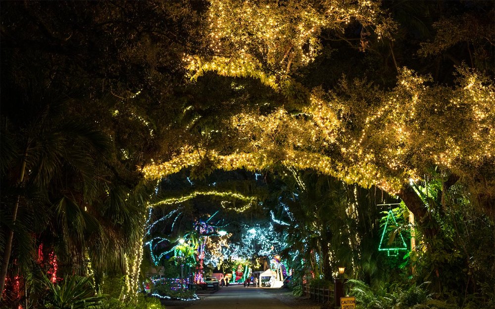 Entrada em arco de árvore no Enchanted Place of North Miami