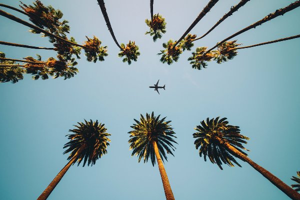 Coral Gables Welcome Center at the Coral Gables Chamber