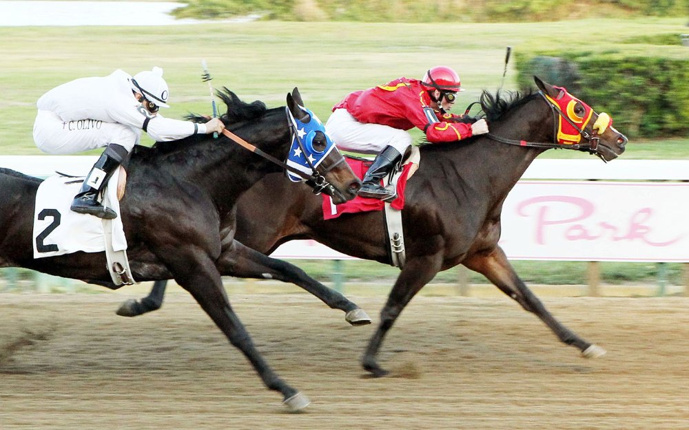 Cavalli che corrono a Hialeah Park Racing & Casino