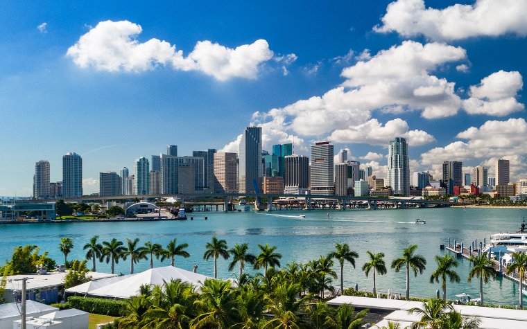 View of Downtown Miami skyline