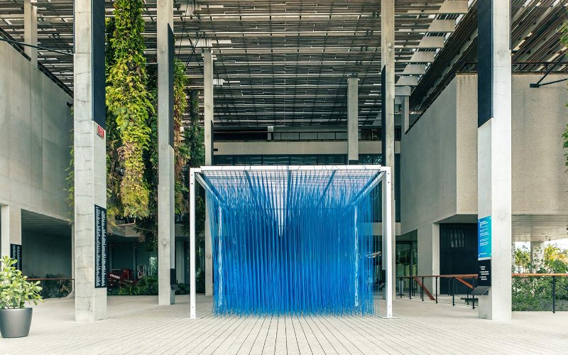 Blue entrance of Pérez Art Museum Miami (PAMM)