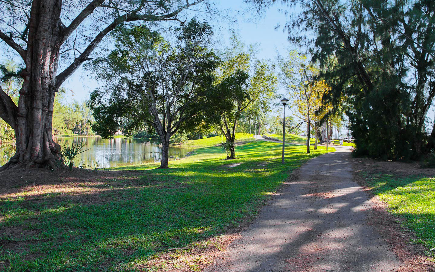 Pathway along the lake at A.D. (Doug) Barnes Park