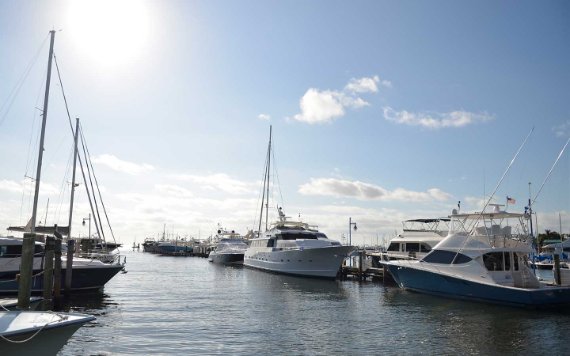 Barche a vela dentro Coconut Grove