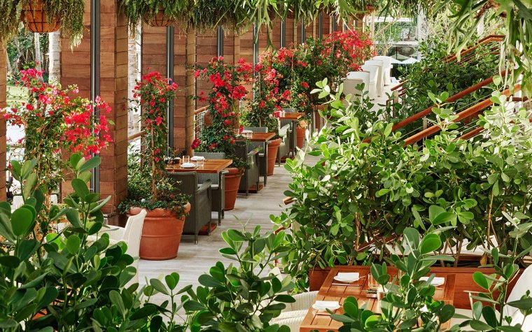 Red bougainvillea & lush green plants on Matador's Patio Red bougainvillea & lush green plants on Matador's Patio