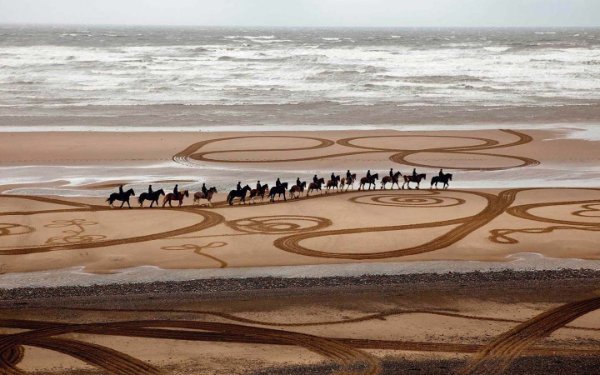 Obra de caballos con jinetes a lo largo de la playa de Eve Wright