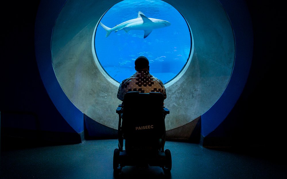 Frost Science Museum is an accessible and interactive museum