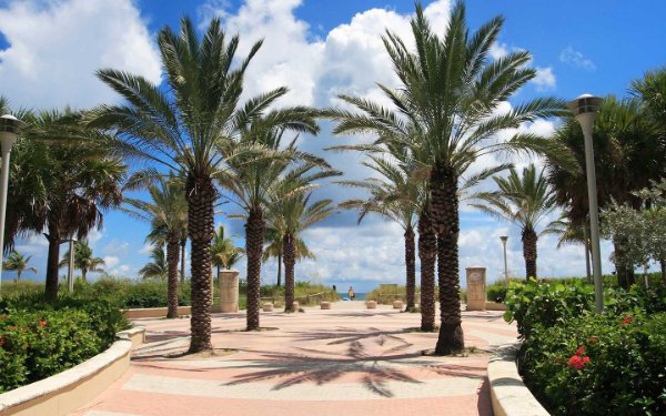 Caminho pavimentado de tijolos para Miami Beach