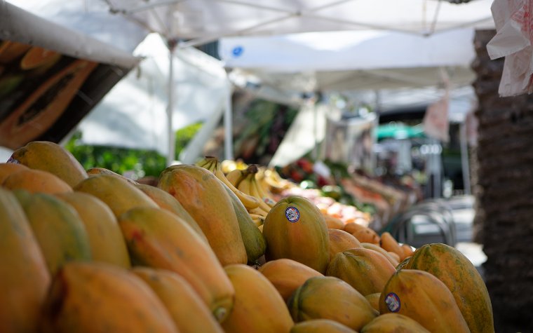 Papaya displayed at Lincoln Road Farmers Market Papaya displayed at Lincoln Road Farmers Market