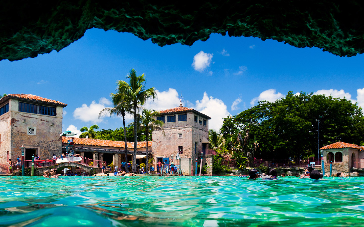 Guide to Miami Art and Culture | Greater Miami & Miami Beach