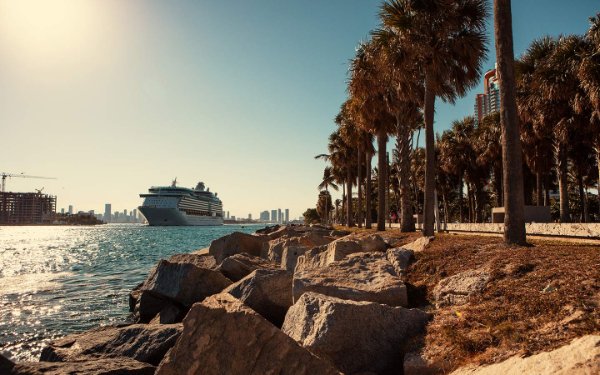 Blick auf ein Kreuzfahrtschiff von South Pointe Park In South Beach