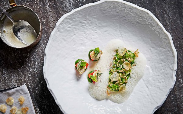 Foamy dish