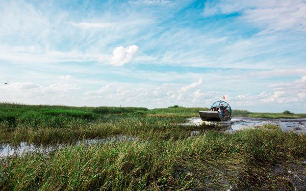 Airboat ride through the Everglades
