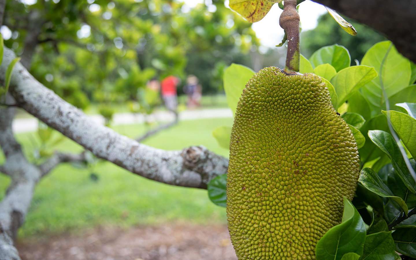 Top Proposal Spots Miami & Miami Beach