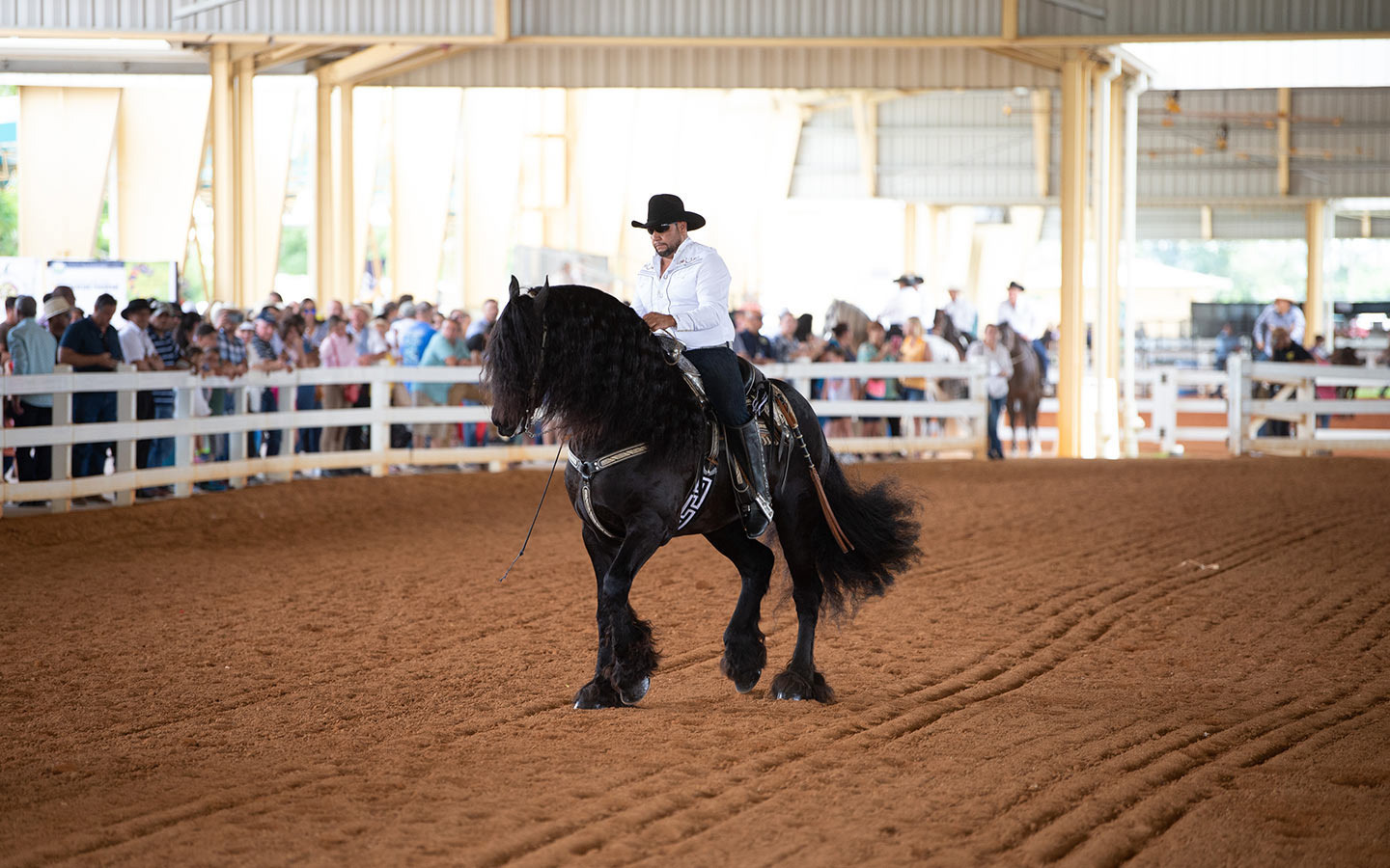 Rider with his horse at Countryfest