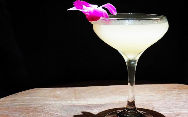 Martini with an orchid