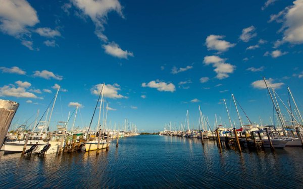 Veleiros na marina em Coconut Grove