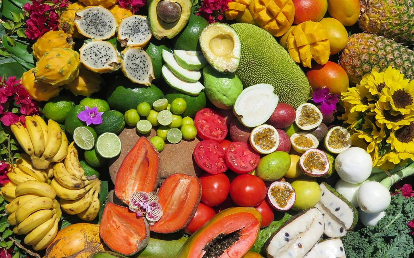 Tropical fruit at Robert Is Here