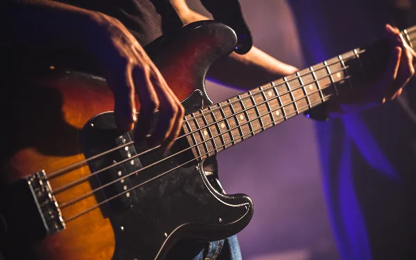 Bassist close-up