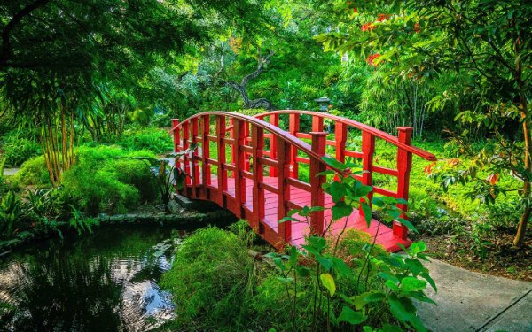 Miami Beach Botanical Garden Brücke